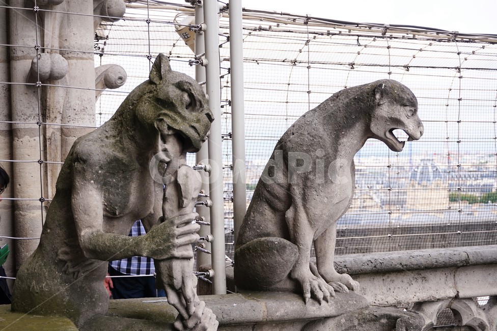 파리,노틀담대성당,가고일상,paris,notredame,gargoyles,이색조각상,해외,외국,세계,foreign,oversea,world,조각상,동상,석상,조형물,statue,bronze statue,stone statue