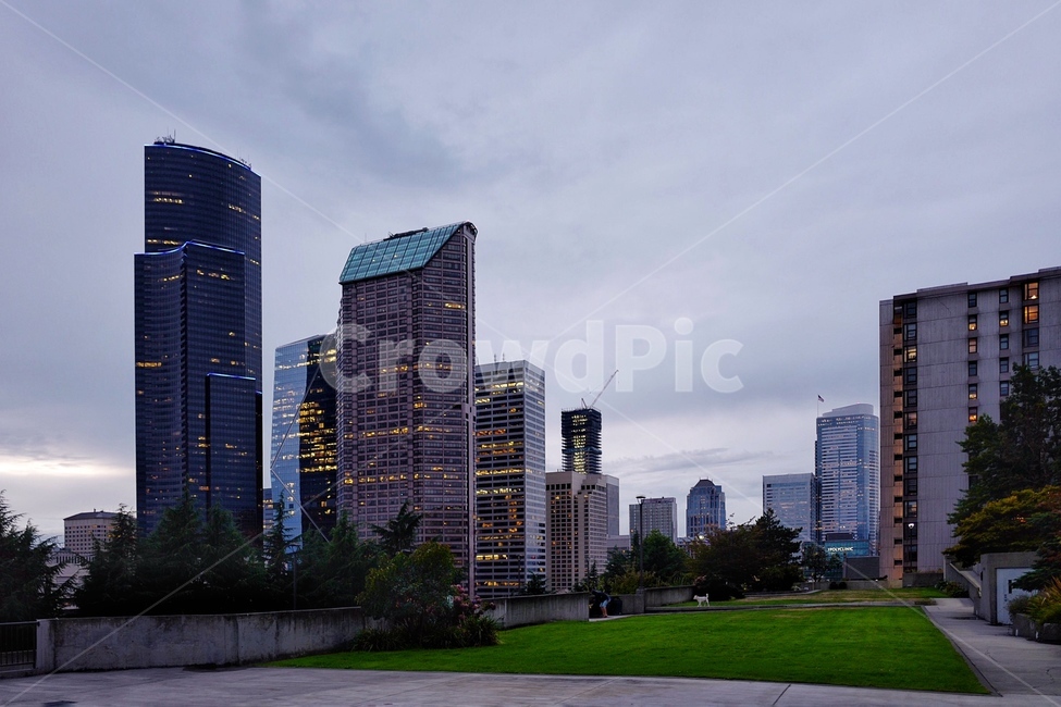 다운타운,시애틀,건물,빌딩,도심,seattle,downtown,officebuilding