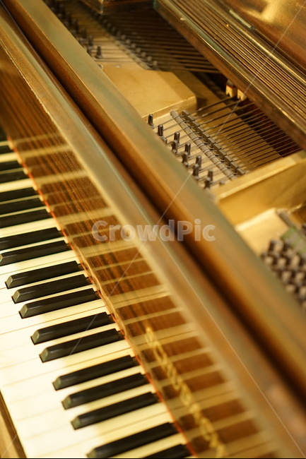 악기,피아노,피아노줄,음악,piano,건반,악기,음향기기,musical instrument,musical equipment