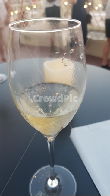 glass,유리,고블릿,goblet,와인