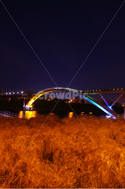 서울,한강,공원,야경,다리,불빛,조명,억새밭,야경,밤,풍경,nightscape,night,landscape,건축물,건물외관,exterior,building,structure,architecture,construction,건물,bridge,arch,아치,arched,아치형