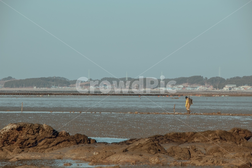 서해,바다,자연,갯벌,채취,자연,풍경,nature,landscape,한국자연풍경,한국자연경관,korea nature landscape
