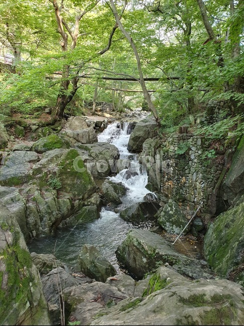 계곡,폭포,물,자연,water,nature,outdoors,stream,creek,작은만,소,흐름,옥외,자연,풍경,nature,landscape,작은 만