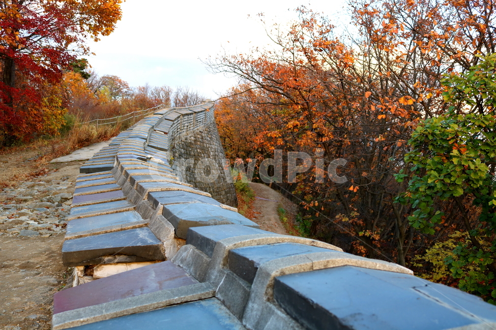 남한산성,산성,성벽,자연,풍경,산,가을,단풍,나무,공원,가을,계절,fall,autumn,season,한국전통,한국문화,korean traditional,korean culture,건축물,건물외관,exterior,building,structure,architecture,construction,walkway,보도,path,통로,flagstone,판석