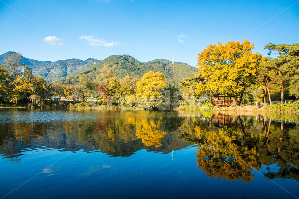 반영,가을,단풍,저수지,가을풍경,가을,계절,fall,autumn,season,자연,풍경,nature,landscape,한국자연풍경,한국자연경관,korea nature landscape,water,물,outdoors,옥외,lake,호수