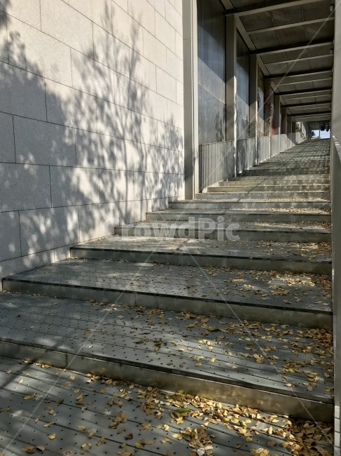 빛,햇빛,그림자,계단,광주,가을,계절,fall,autumn,season,corridor,복도,staircase,handrail,난간,banister