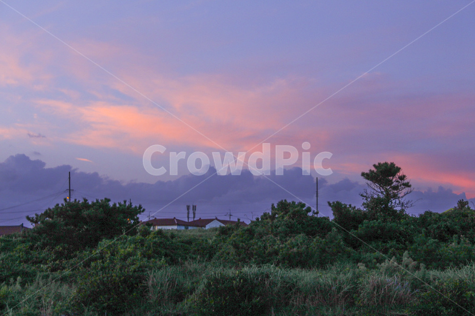 노을,하늘,구름,핑크,수풀,제주도,pink,보라,purple,자연,풍경,nature,landscape,색깔,색상,색채,색감,color sense,color sensitivity,feeling of color,outdoors,옥외