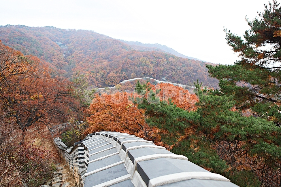 남한산성,성,성곽,단풍,낙엽,길,둘레길,담,돌담,가을,자연,풍경,벽,울긋불긋,산성,식물,가을,계절,fall,autumn,season,한국전통,한국문화,korean traditional,korean culture,tree,나무,plant,nature,outdoors,옥외,rural,농촌,building,건물
