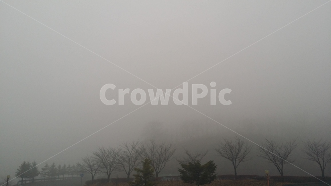 안개,풍경,비온뒤풍경,날씨,흐린날씨,새벽,새벽감성,감성