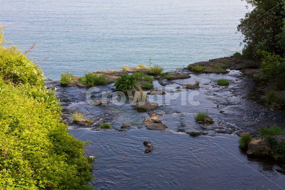 제주도,폭포,소정방폭포,정방폭포,jeju,waterfall,서귀포,바다,자연,풍경,nature,landscape,제주도,jeju,jeju island,water,물,land,땅,outdoors,옥외