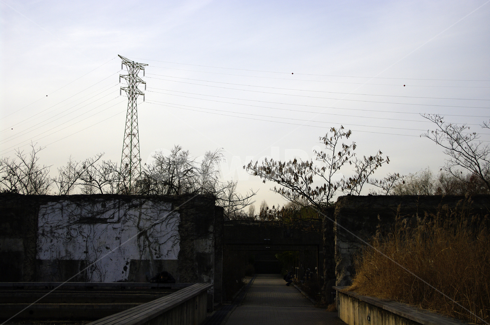 겨울,나무,공원,식물,plant,구름,하늘,건축물,건물외관,exterior,building,structure,architecture,construction