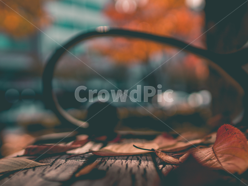 의자,단풍,낙엽,가을,휴식,나뭇잎,벤치,감성,색감,가을,계절,fall,autumn,season,감성,sensible,feeling