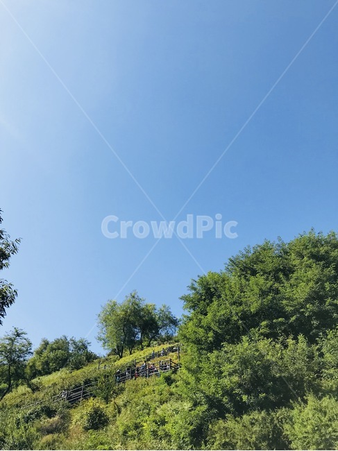 자연,nature,하늘숲공원,하늘,green,자연,풍경,nature,landscape,outdoors,옥외