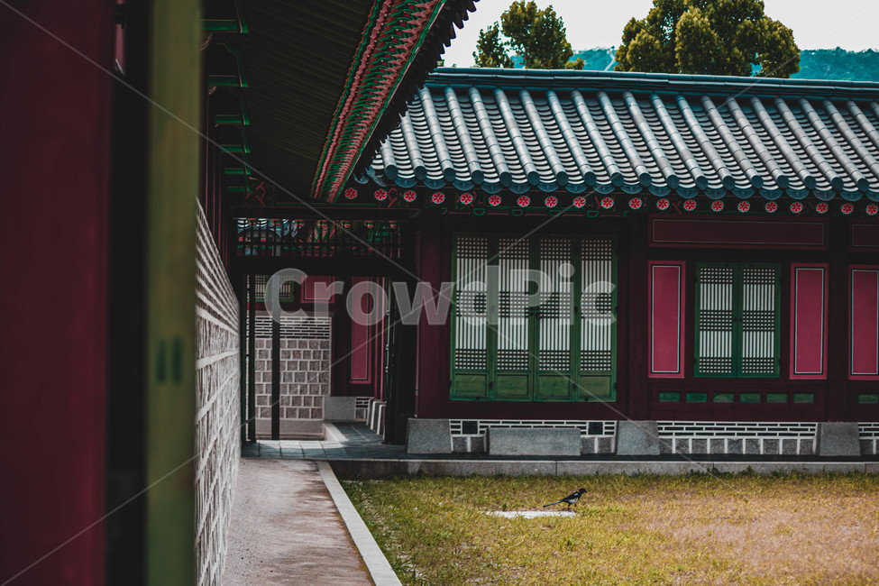 경복궁,느낌,감성,고풍스러운,한국,한국의미,한국전통,한국문화,korean traditional,korean culture