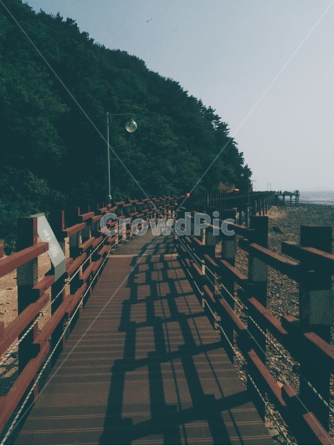 산,다리,나무다리,한국,바닷가,바다,자연,풍경,nature,landscape,handrail,난간,banister,railing,water,물