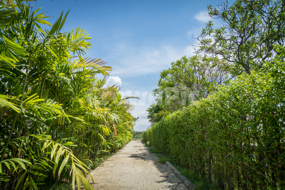 outdoors,옥외,arbour,garden,정원,자연,풍경,nature,landscape