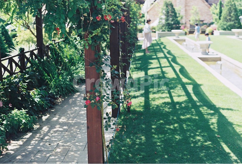Jade Garden,outdoor wedding,tree,flower tree,Wedding ceremony,small wedding,Pillar,flower pillar,garden,wedding,self wedding,park,walk