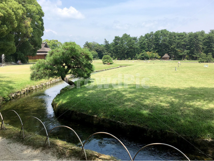 정원,시냇물,잔디밭,자연,공원,잔디,나무,하늘,자연,풍경,nature,landscape,outdoors,옥외,field,들