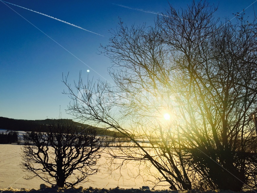 햇빛,빛,풍경,노을,저녁,자연,풍경,nature,landscape,light,flare,플레어,sunlight,outdoors,옥외