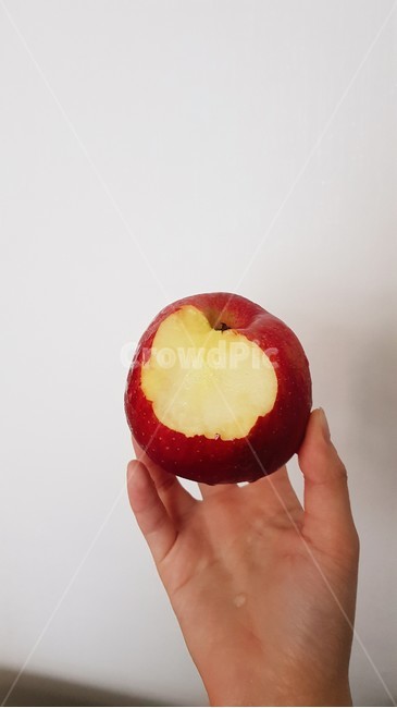 사과,apple,과일,fruit,red,과일,열매,fruit