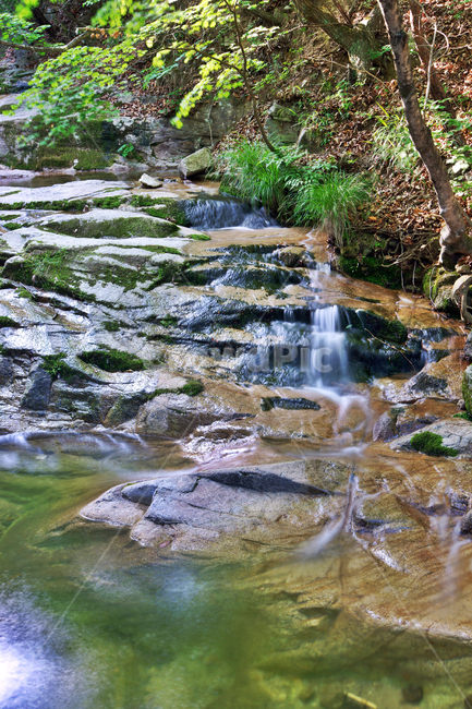 계곡,물줄기,암석,자연,풍경,자연,풍경,nature,landscape,water,물,outdoors,옥외,stream,흐름,creek,작은 만