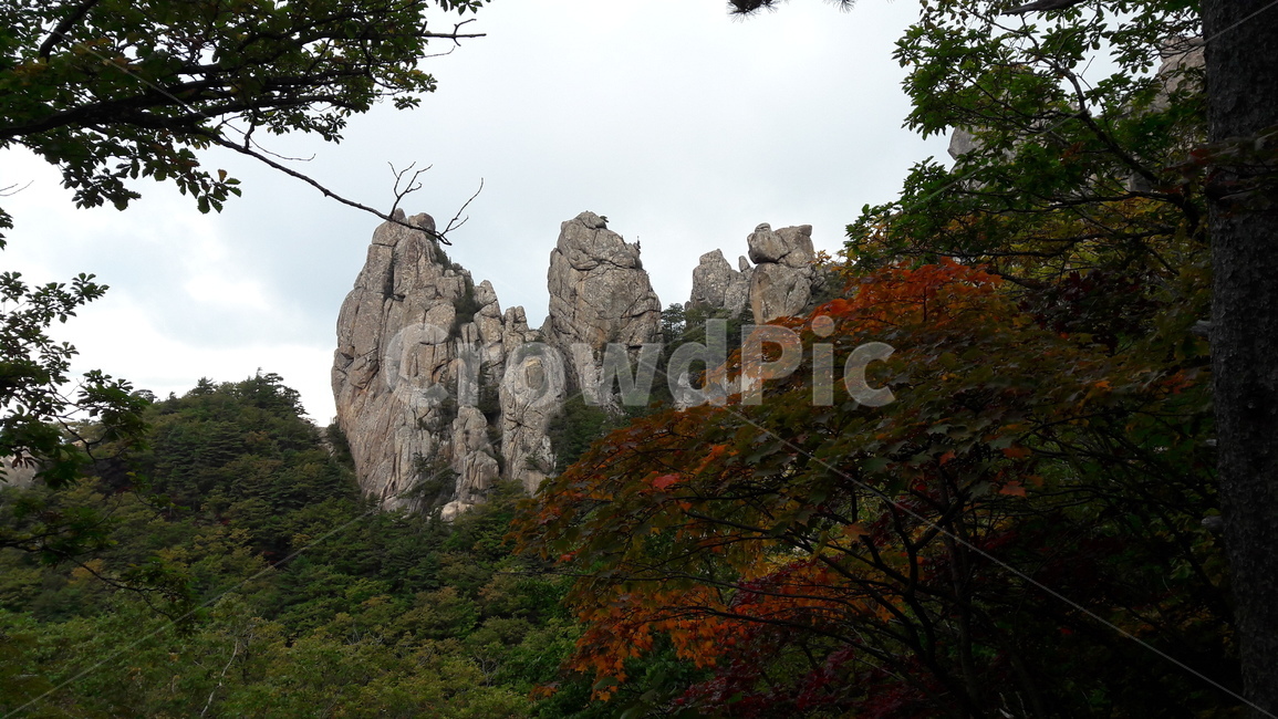 설악산,용아장성,봉정암,가을,단풍,가을,계절,fall,autumn,season,자연,풍경,nature,landscape,한국자연풍경,한국자연경관,korea nature landscape,cliff,낭떠러지,outdoors,옥외