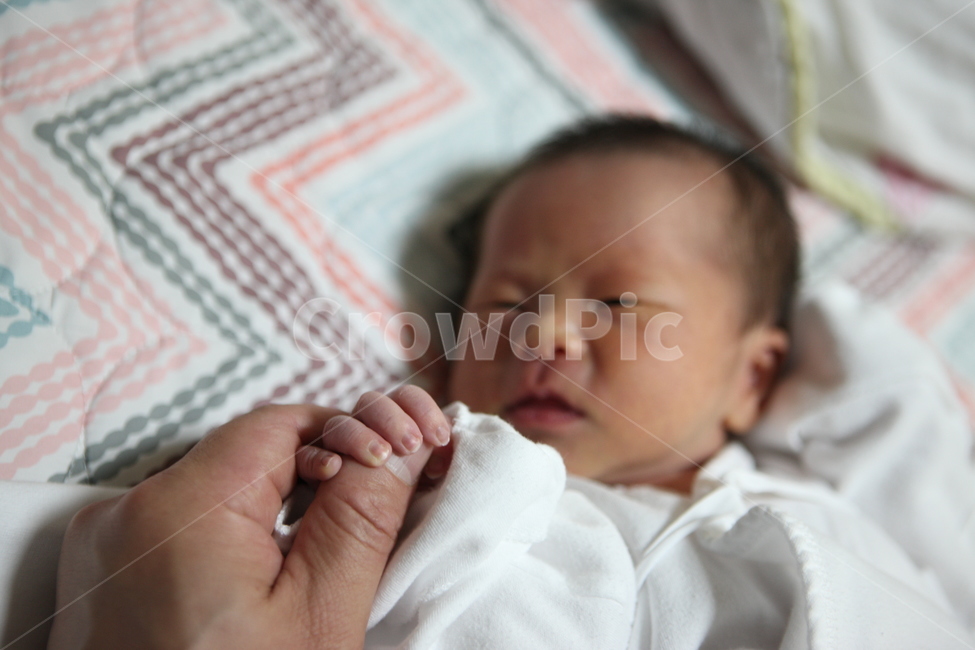 신생아,악수,아기,아들,손가락,사람,인물,인간,human,person,영유아,아기,애기,아이,infants,baby