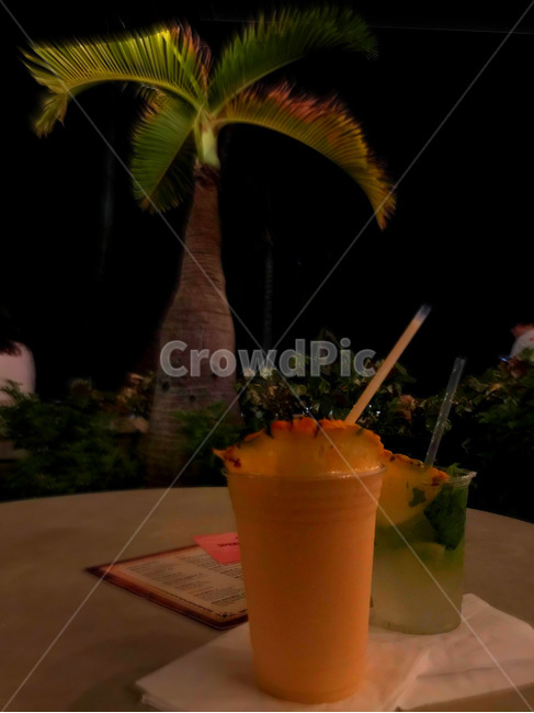 alcohol,알코올,beverage,마실것,mojito,칵테일,cocktail,음주,drink,모히또,감성