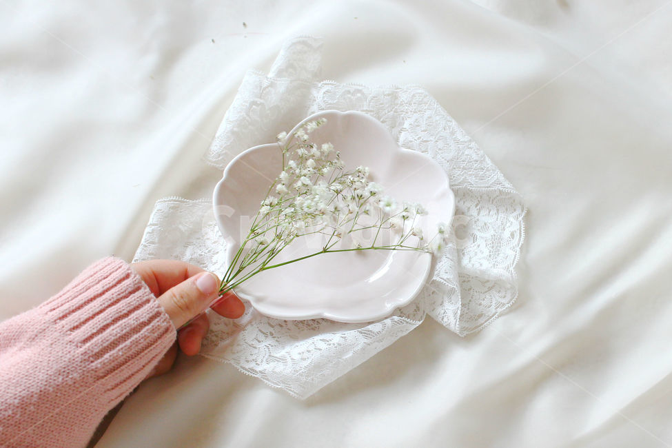 손,꽃,안개꽃,분홍,감성사진,그릇,분홍색,하얀색,pink,white,flower,flowers,레이스,접시,hand,꽃,flower,사람,인물,인간,human,person,신체일부,몸,body,연출,컨셉,콘셉,direction,concept