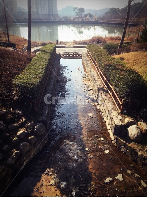 물길,호수,공원,호수공원,산책