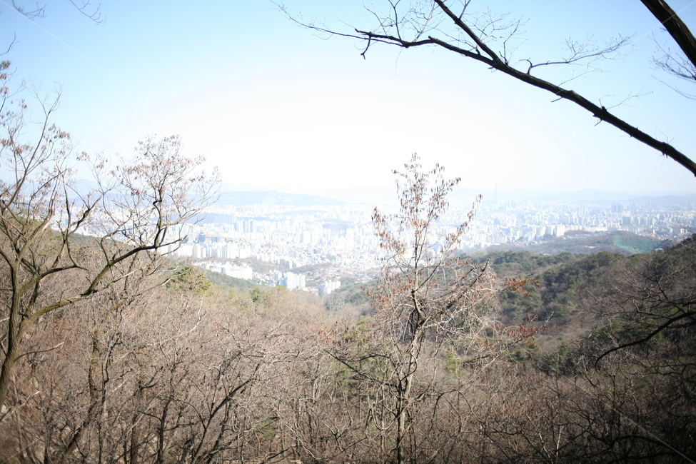 나무,낙엽,풍경,숲,산,북한산,mountain,tree,forest