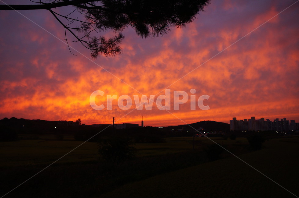 자연,nature,석양,하늘,sky,빨간색,붉은하늘,붉은노을,들판,outdoor,들,자연,풍경,nature,landscape,outdoors,옥외,dawn,새벽,red sky,붉은 하늘,sunset,일몰,dusk,황혼