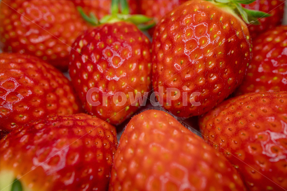 background,berry,closeup,delicious,dessert,diet,food,fresh,fruit,healthy,juicy,macro,nutrition,organic,red,ripe,strawberry,sweet,vegetarian,vitamin,딸기,과일,빨간색,빨강,레드,디저트,음식,식재료,요리,food,cook,meal,dishes,food reserves,과일,열매,fruit