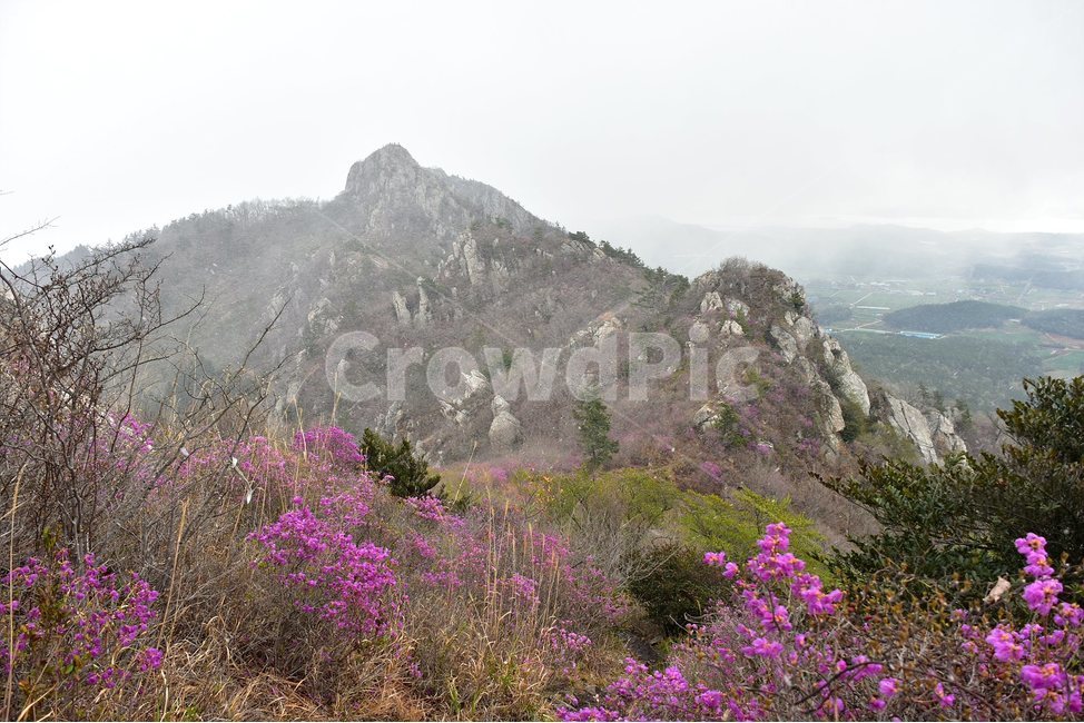 주작산,덕룡산,종주,진달래,풍경,기암,바위,비경,봄풍경,진달래꽃,강진,명산,산행,등산,마운틴,힐링,mountain,landscape,자연,natural,봄,계절,spring,season,자연,풍경,nature,landscape,한국자연풍경,한국자연경관,korea nature landscape,outdoors,옥외,산,mountain range,산맥