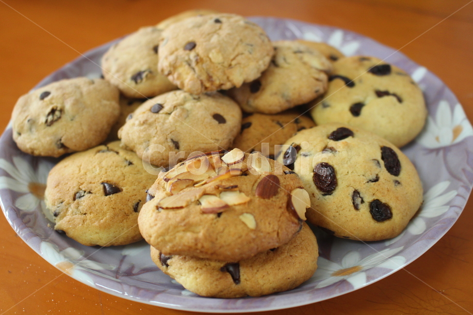 쿠키,간식,비스킷,과자,cookie,음식,식재료,요리,food,cook,meal,dishes,food reserves,디저트,간식,후식,dessert,snack
