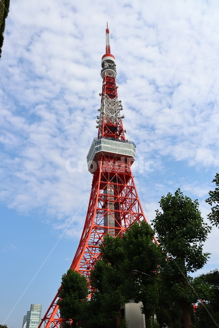 건축물,tower,탑,building,건물,뾰족한탑,첨탑,도쿄,일본,도쿄타워,tokyo,japan,tokyotower,랜드마크,landmark,tourist attraction,해외,외국,세계,foreign,oversea,world,세계랜드마크,해외랜드마크,외국랜드마크,world landmark,world tourist attraction,건축물,건물외관,exterior,building,structure,architecture,construction