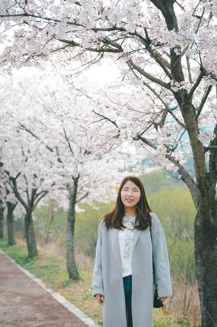 여자,벚꽃,봄,flower,cheeryblossom,blossom,portrait,봄,계절,spring,season,사람,인물,인간,human,person,여성,여자,woman,female,lady,sleeve,소매,long sleeve,긴팔
