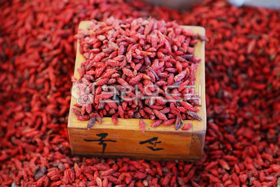 상자,구기자,열매,약재,구기자열매