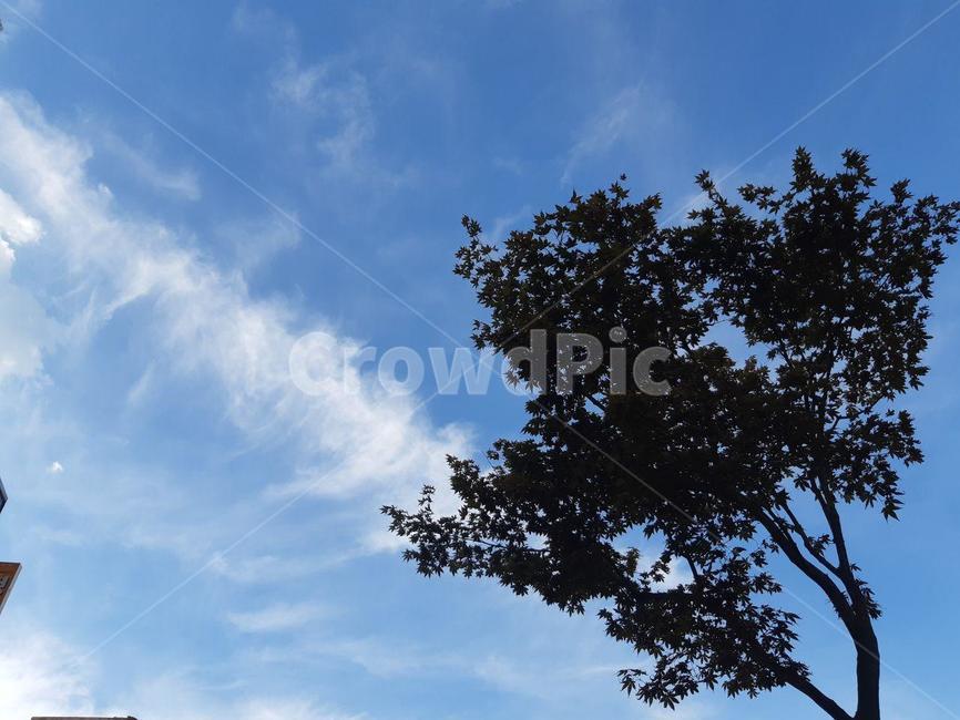 하늘,sky,구름,cloud,nature,자연,outdoors