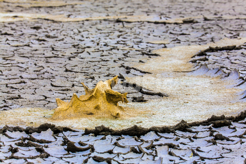 영종도,환경,갯벌,뮨양,무늬,배경,질감,자연,풍경,nature,landscape,soil,흙,ground,바닥