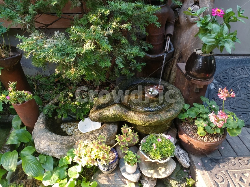 물,작은분수,장식,식물,화분,항아리,실내용화초,화분,화초,house plant