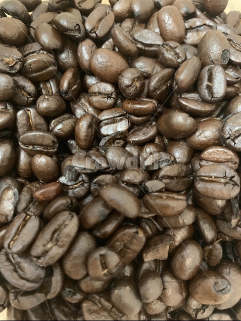 커피,카페,커피콩,food,coffee,커피,카페,coffee,cafe