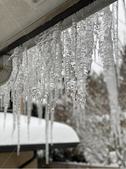 nature,자연,outdoors,ice,snow,빙,눈,winter,겨울,고드름,icicle,icicles,캐나다,canada,처마밑,감성,추운날,얼음,영하,추운겨울