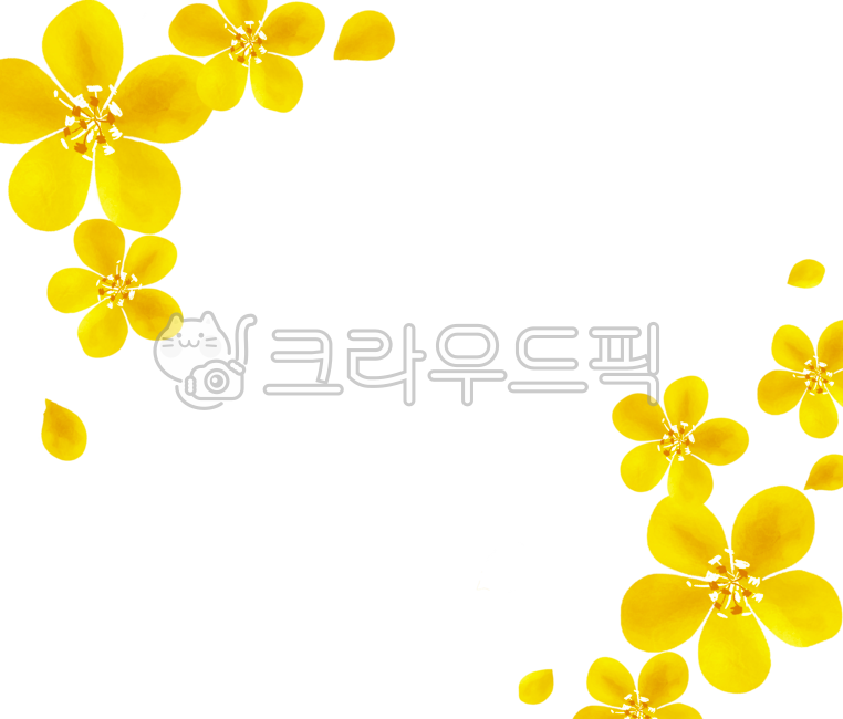 spring,Spring background,flower image,flower background,flower