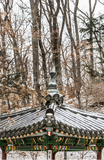 정자,기와,단청,누각,문화유산,전통,한국전통,한국문화,korean traditional,korean culture,건축물,건물외관,exterior,building,structure,architecture,construction