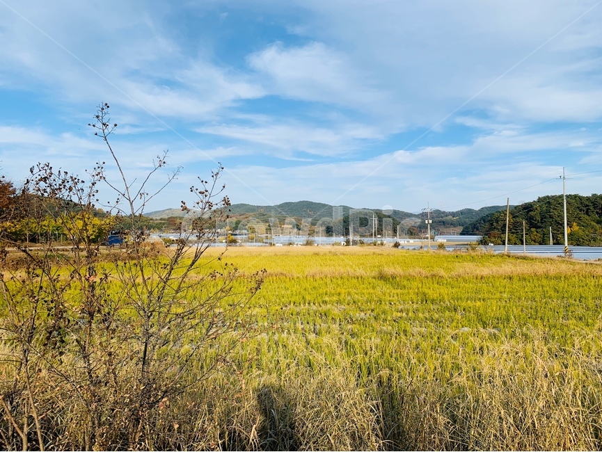 자연,들,nature,outdoors,field,경치,시골,농업,농사,agriculture,farming,farming industry