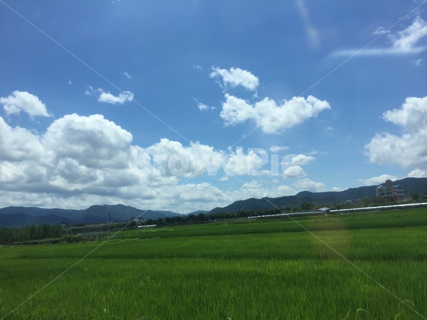 자연,산,들,경치,풍경,nature,자연,풍경,nature,landscape,grassland,목초지,field,outdoors,옥외