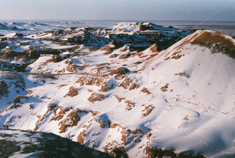 몽골,자연,발자국,고비사막,산,눈,mountain,snow,flamingcliffs