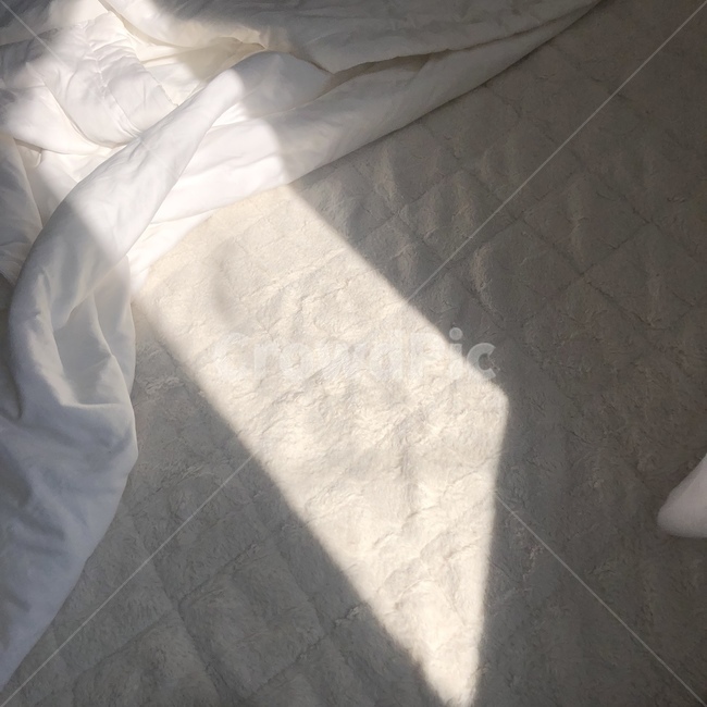 이불,햇살,침대,잠,sleep,bed