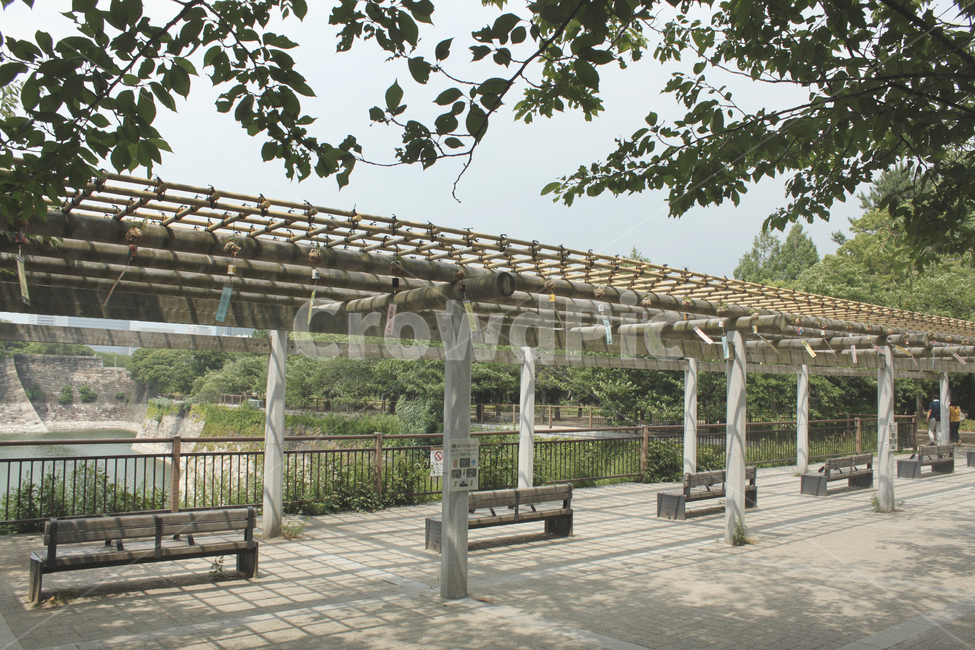 bench,벤치,나무,야외,outdoor,공원,park